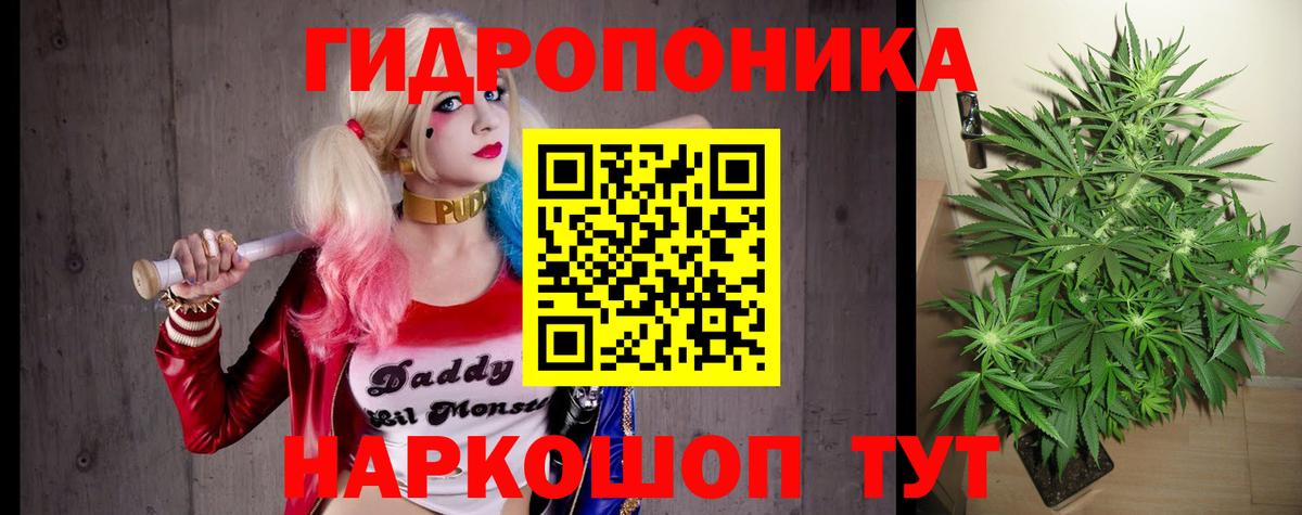Шишки марихуана сатива Октябрьский